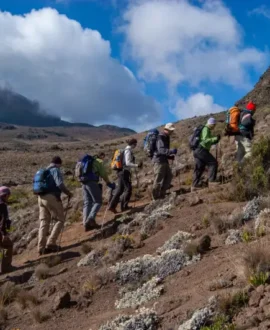 Kilimanjaro